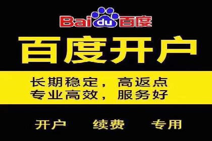 百度SEM推广在电商行业的应用案例